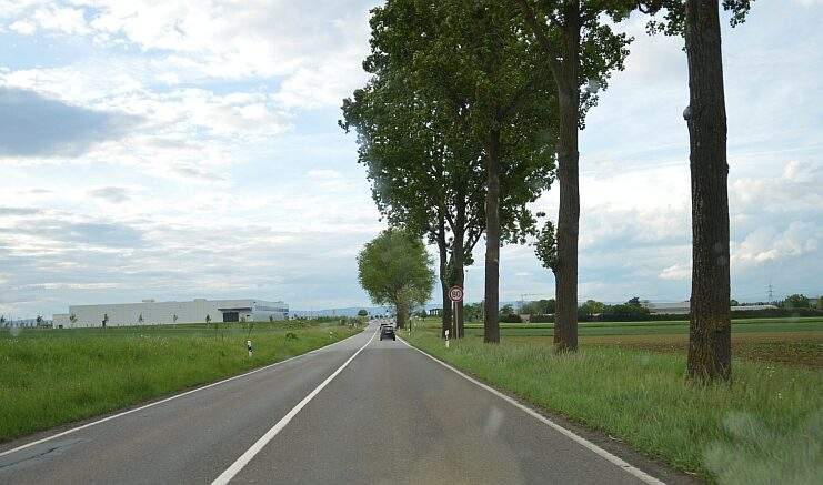 Rheinhessenstrasse Hoehe Messepark mit Baeumen kleiner