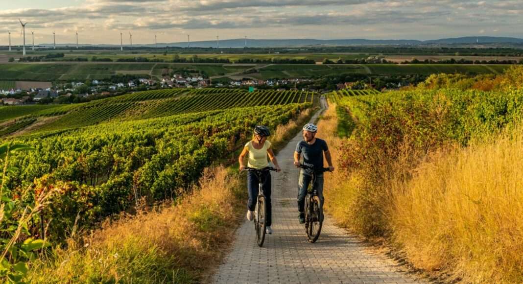 Selztal Radweg low Gau Odernheim PetersbergcDominik Ketz e1648565746760