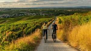 Raubüberfall in undenheim - polizei oppenheim sucht zeugen