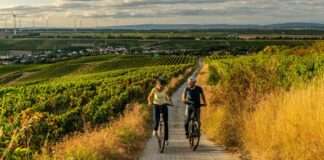 Selztal Radweg low Gau Odernheim PetersbergcDominik Ketz e1648565746760