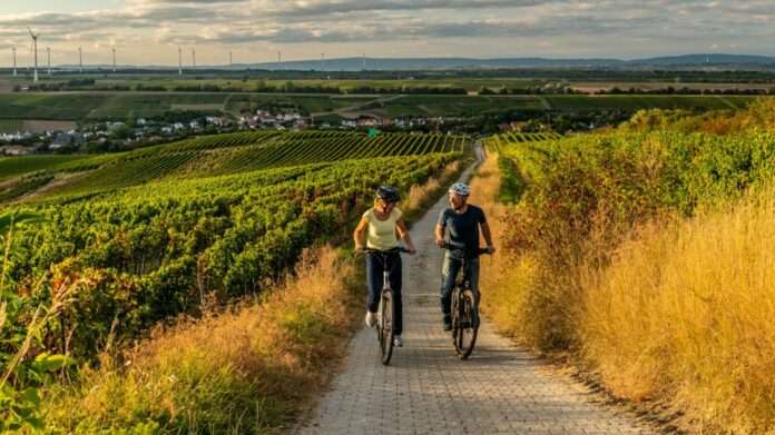 Selztal Radweg low Gau Odernheim PetersbergcDominik Ketz e1648565746760