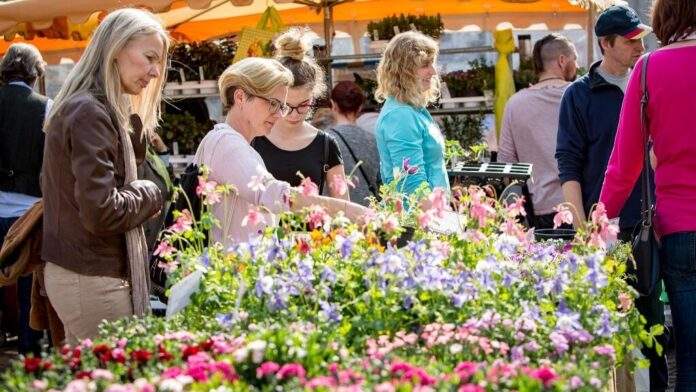 Worms blueht auf 2019 Bernward Bertram versandgr fb408129 924f645a@1024w