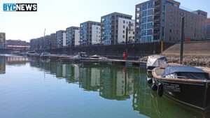 Illegaler goldfischfang in mainz: polizei sucht flüchtigen verdächtigen Zollhafen mainz 35