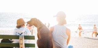 people 2588888 960 720