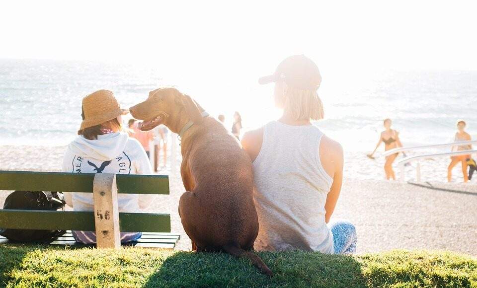 people 2588888 960 720 people 2588888 960 720