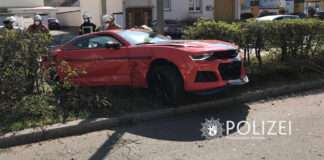 poMMes public.image 2022 03 28 02 20 42 2 e1648478333432