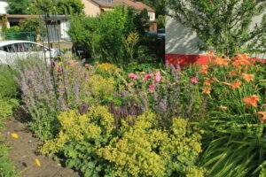 Stiftung mainzer herz und unterstützer sammeln 180. 000 euro für die ukraine Stiftung mainzer herz und unterstützer sammeln 180. 000 euro für die ukraine