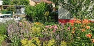 2021 07 13 Kotyga Vorgarten1 Platz1 e1649511741680