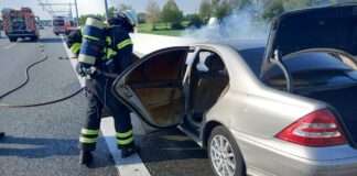 2022 057 004 e1650667043557