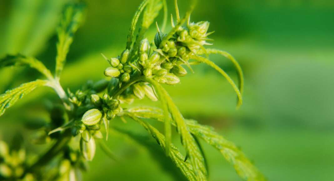 4866 byc newsde image 4866 byc newsde image