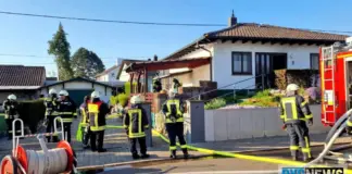 Eich1 e1651126728671