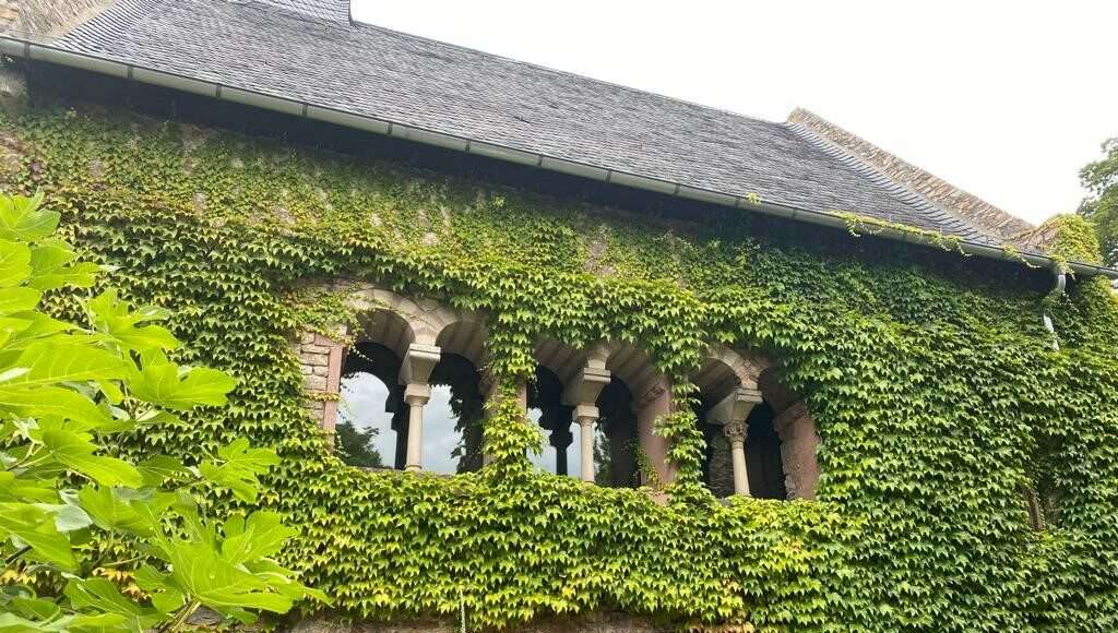 Graues Haus Romanische Boegen2 Foto Stirn