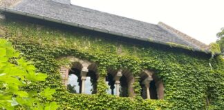 Graues Haus Romanische Boegen2 Foto Stirn