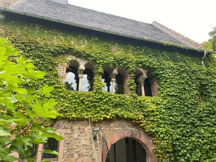 Graues Haus Romanische Boegen2 Foto Stirn