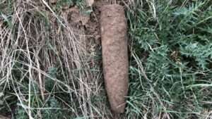 Spd mainz-neustadt trauert um astrid clauss