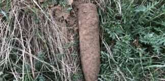 IMG 1632 e1649242172917