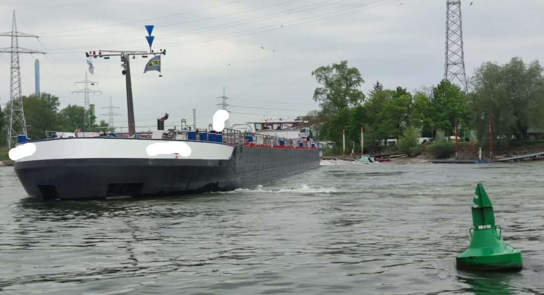 IMG 20220424 150420 bearb IMG 20220424 150420 bearb