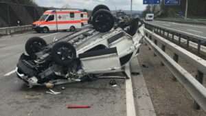 Img 3241 e1649971479222