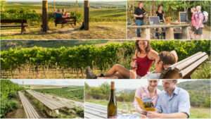 Inshot 20220408 105108255