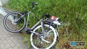 Kleiner eimer und großer aufwand in mainz-gonsenheim Katja dachs1