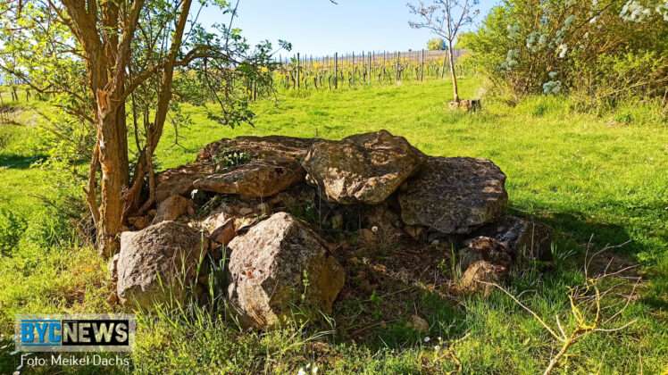 Rheinhessen7