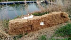 Schwerer verkehrsunfall im kreis groß-gerau - rettungshubschrauber im einsatz