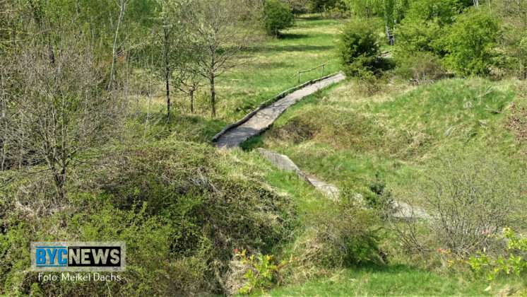 Wald Ober Olm10