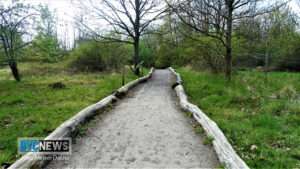 Schwerer unfall durch freilaufende pferde im rheingau - zwei tiere verstarben