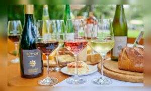 Weinprobe weingut klostermühlenhof