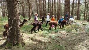 Csm 172003. Rgb 139f5001e5 e1649248607974