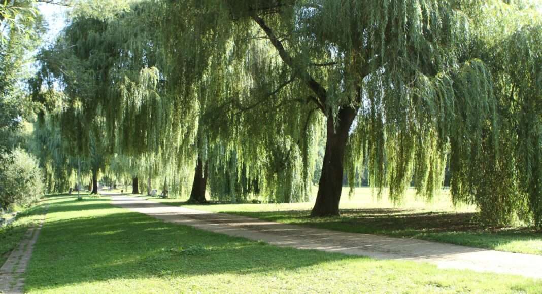 190914 Jungau Weg dtg  2  e1651653566502
