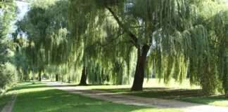 190914 Jungau Weg dtg  2  e1651653566502