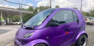 279045287 667131374665122 3867972449852810780 n