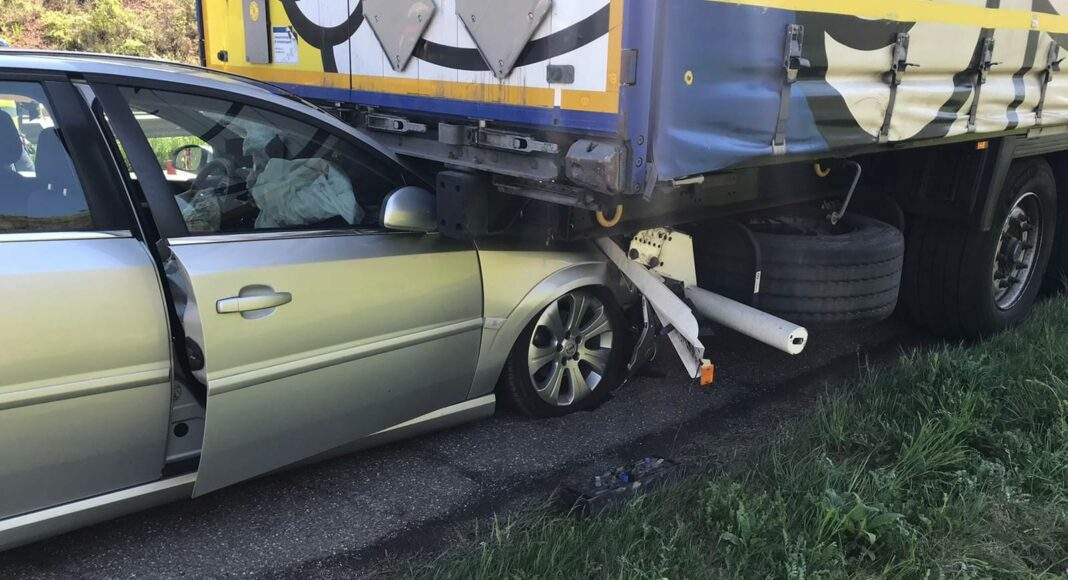 279825359 1635245406809270 4904790248093965786 n e1651943965527