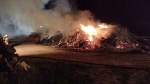 281371707 1378948192612139 4168767440383673935 n