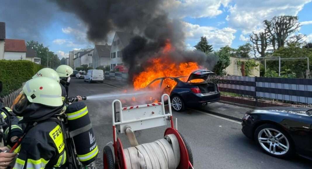 282333212 1855628374623014 6258741685711813269 n e1653804905456