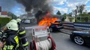 282333212 1855628374623014 6258741685711813269 n e1653804905456