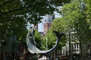 Die löwen sind meister - zieht das nationalteam nach? 1