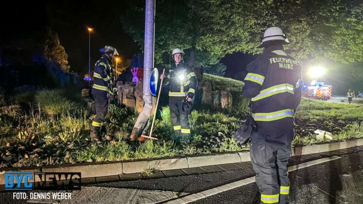 8A5B596E 961F 4228 9A3D 9090F692741F