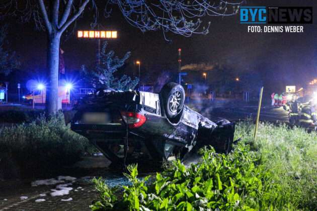 A65F8AFB FC35 4C11 A97B A80A5099B0FC