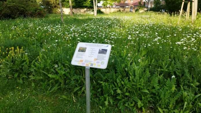 Bluehflaeche Verna Park e1652968304419