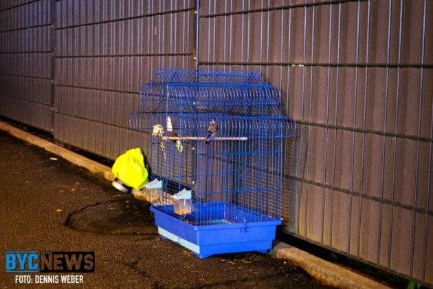 Fc7350c1 7f0f 4f80 b147 9583b69247e4