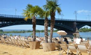 Der mainzstrand lädt wieder zur chill- und partyzone ein Img 20220518 wa0093 e1653055574447