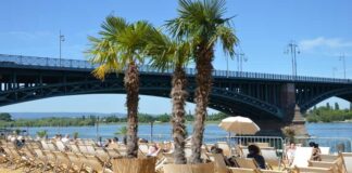 IMG 20220518 WA0093 e1653055574447