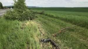 Img 0914 e1652206221243