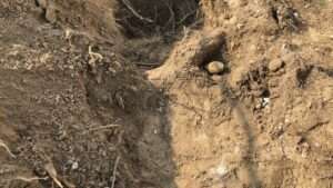 Img 1722 e1651500680771