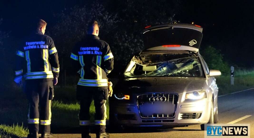 IMG 20220501 055835 IMG 20220501 055835