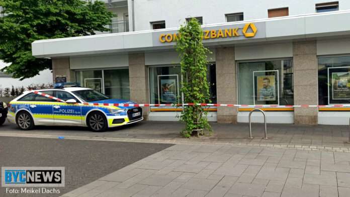 Ingelheim2