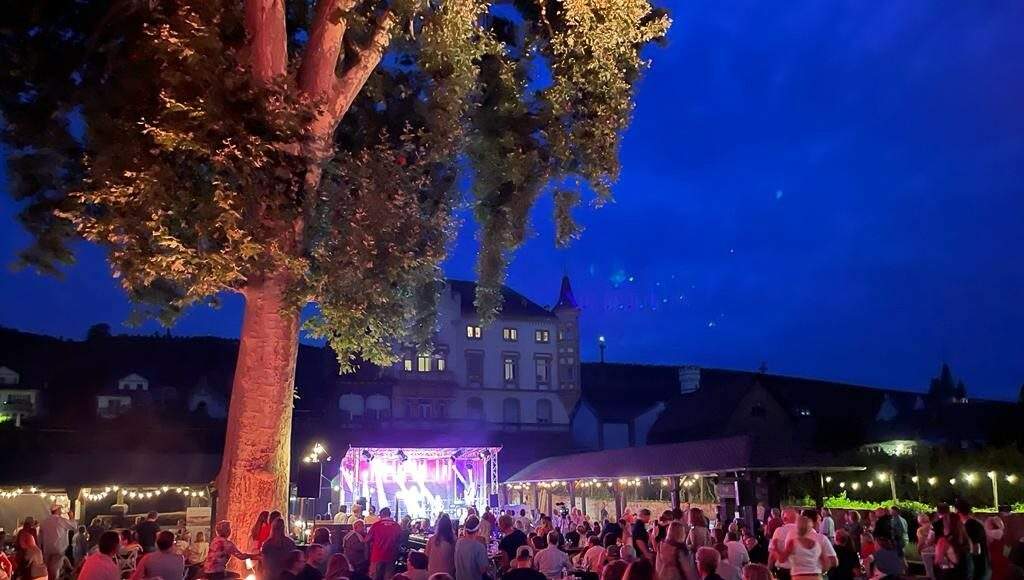 Nachts im Garten Foto Vera Jung e1652090998812