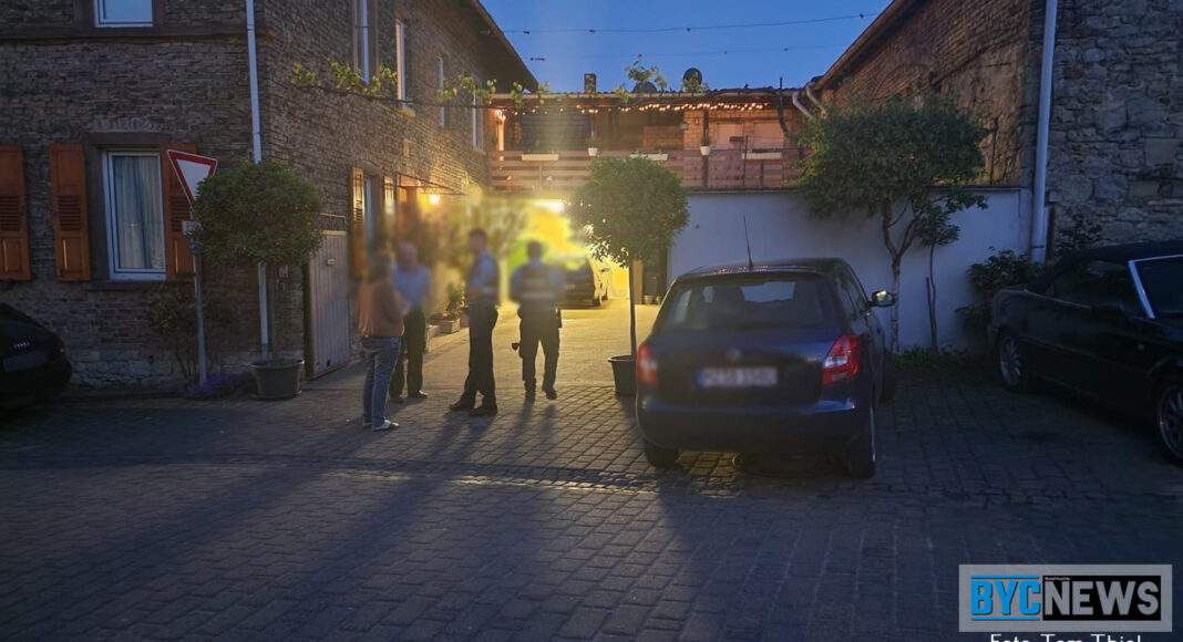 Pol1 1